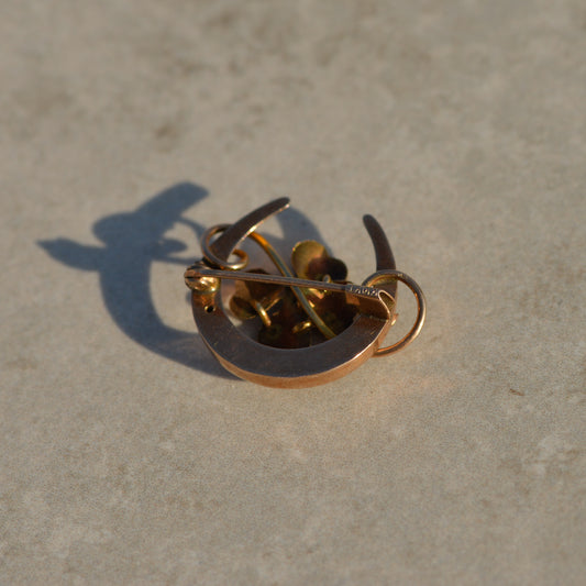 Antique Lucky Horseshoe & Four-leaf Clover Brooch