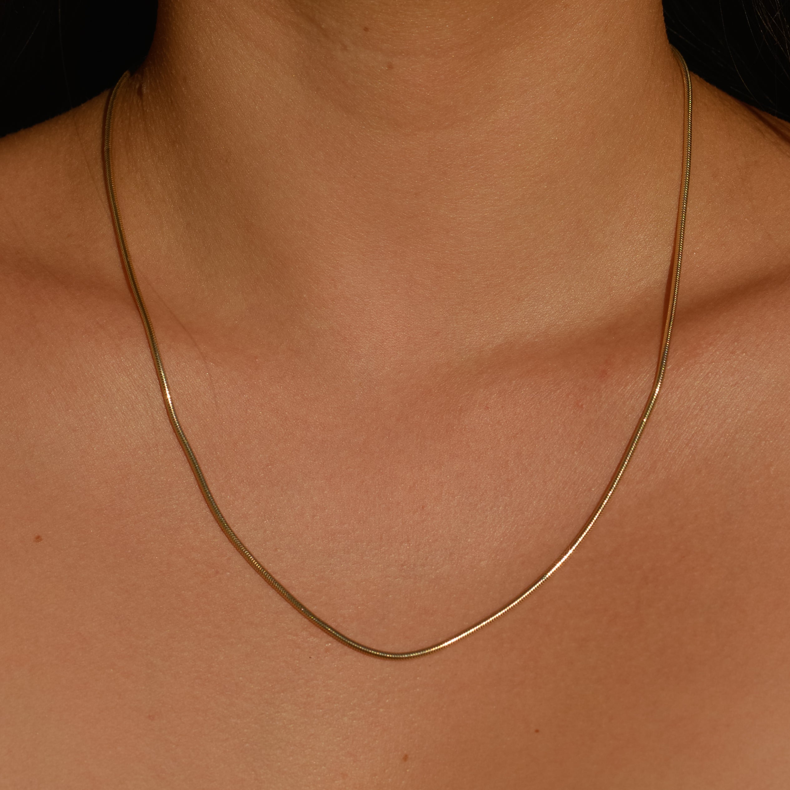 Vintage Snake Chain