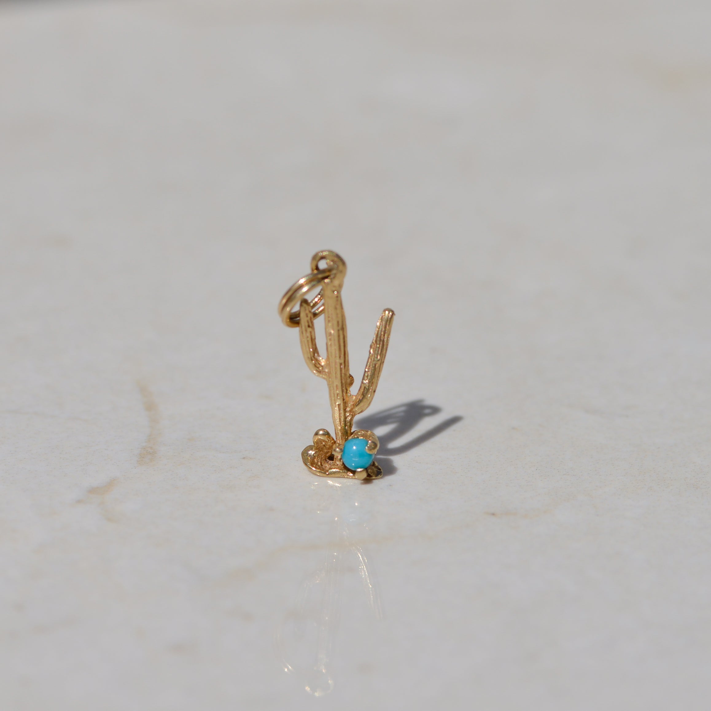 Vintage Cactus Charm