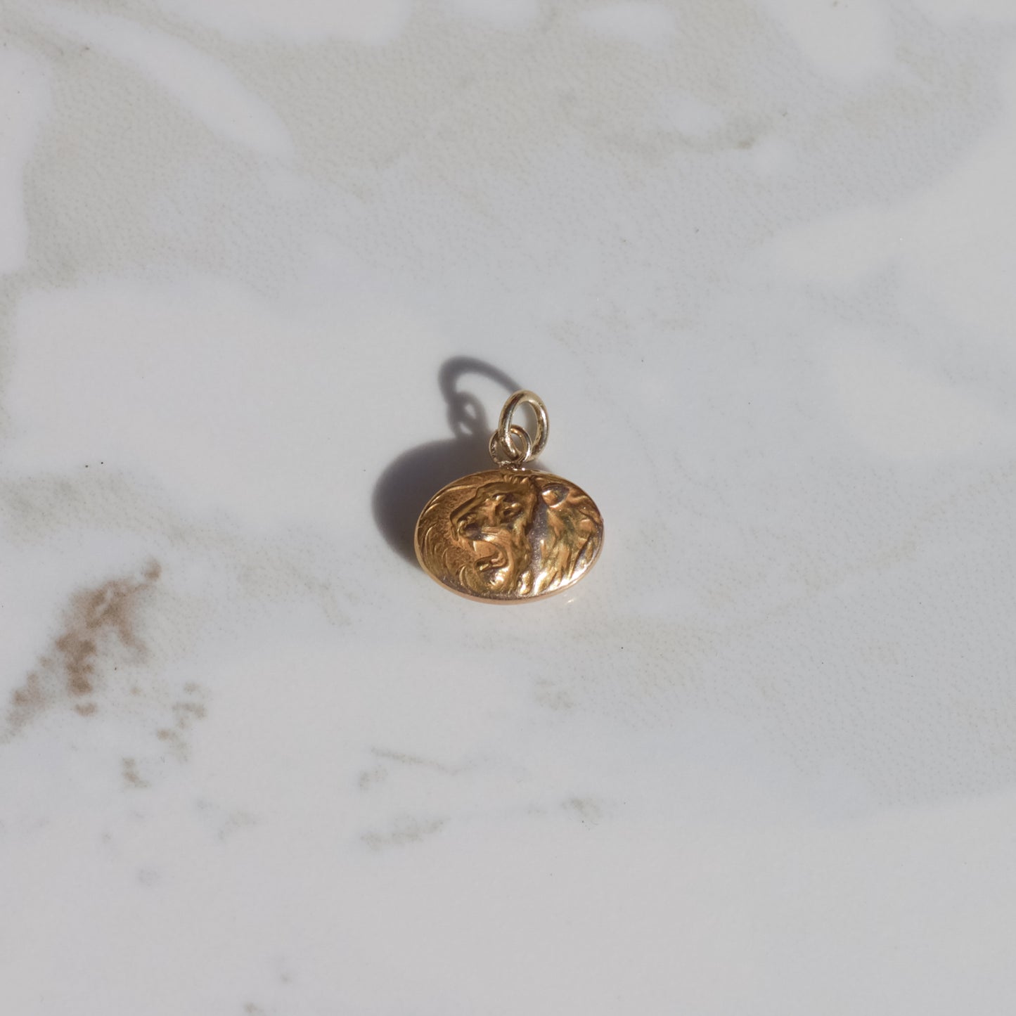 Antique Lion Pendant 14k